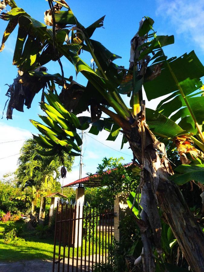 Bijagua Paradise Rio Celeste Exterior photo